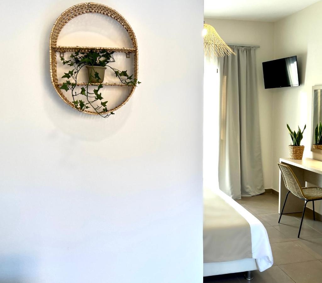 Amare Apartments Tsilivi  Exteriér fotografie